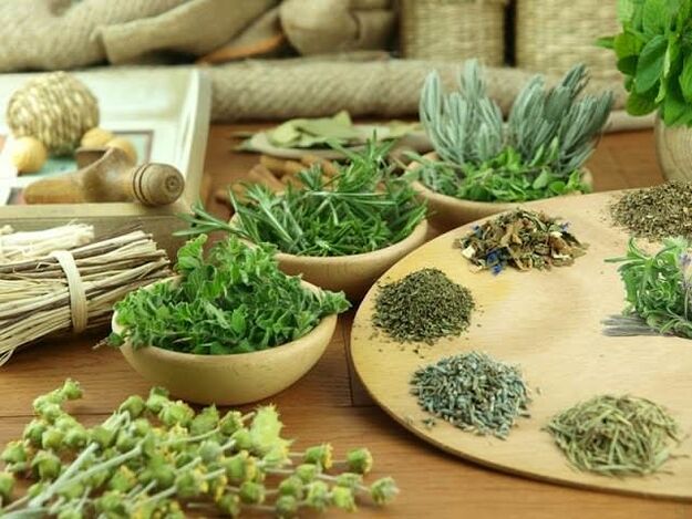 Phytotherapy le haghaidh láidreachta